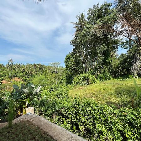 D'Nanda Villa Ubud Esterno foto