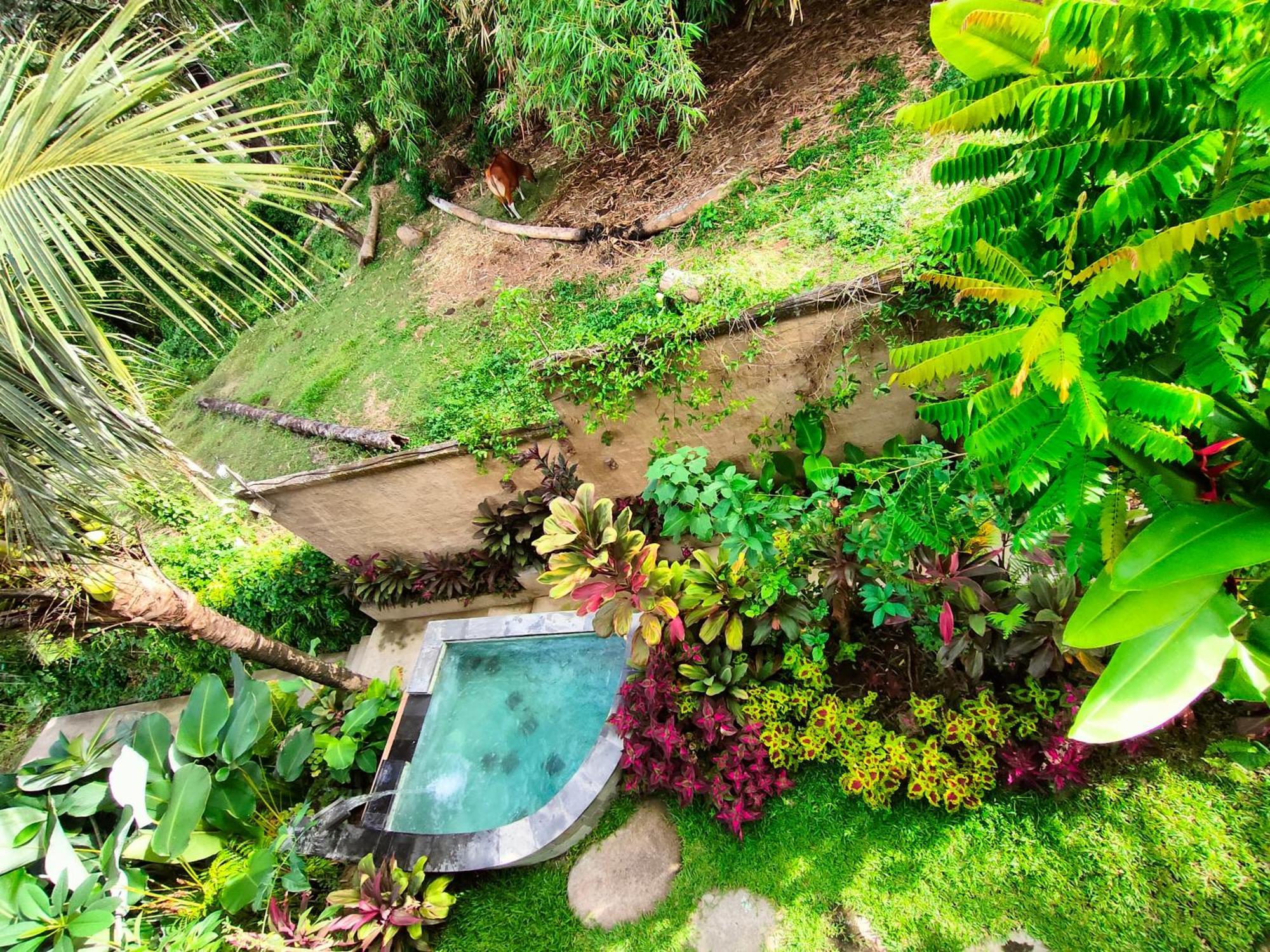 D'Nanda Villa Ubud Esterno foto