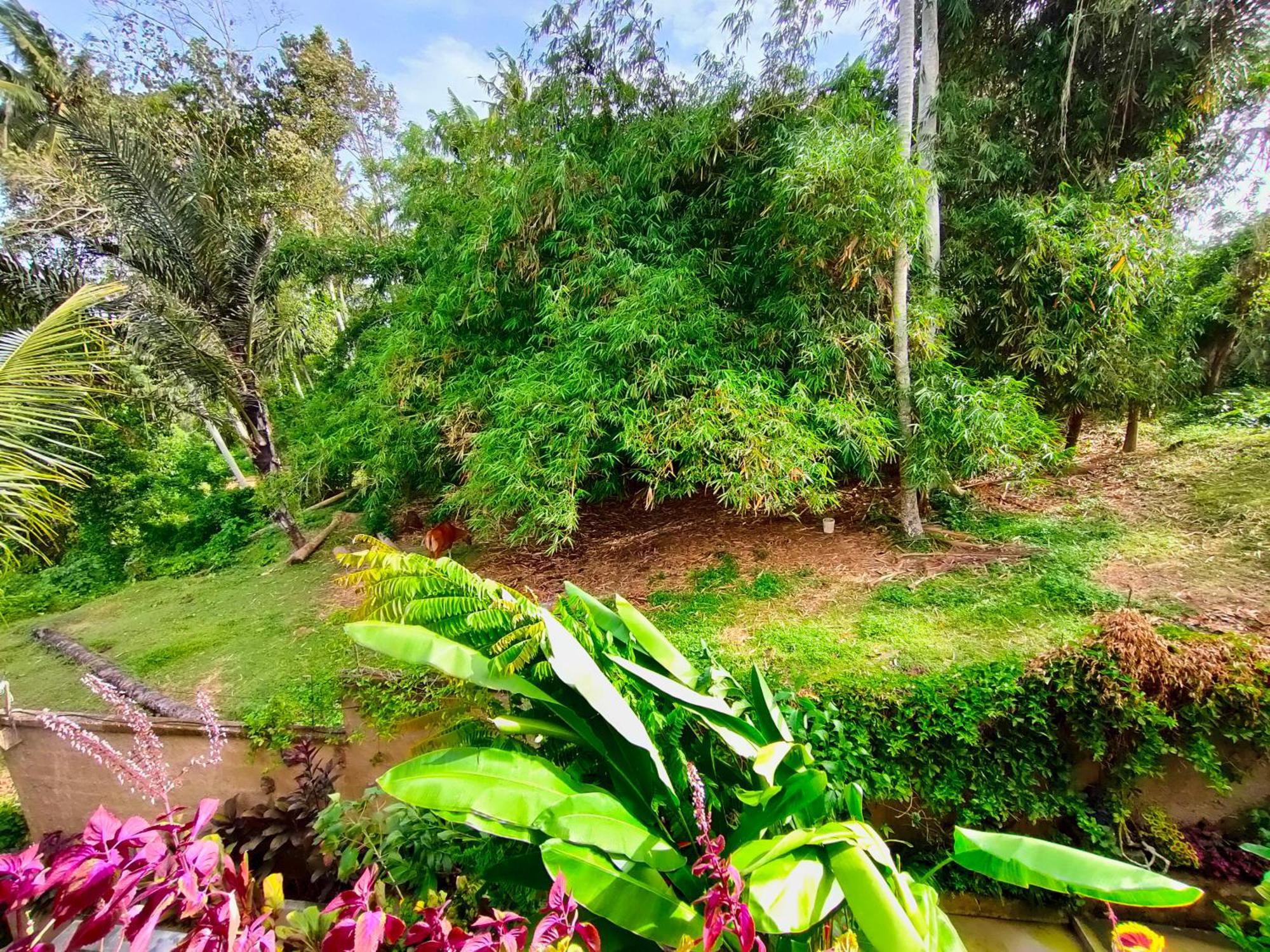 D'Nanda Villa Ubud Camera foto