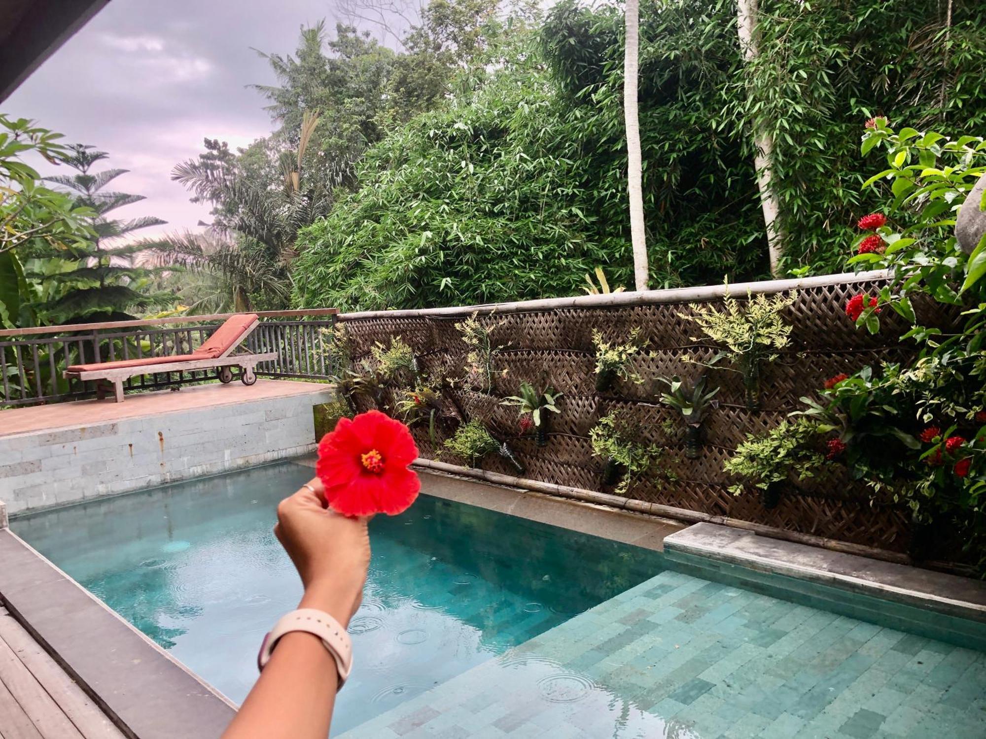 D'Nanda Villa Ubud Esterno foto