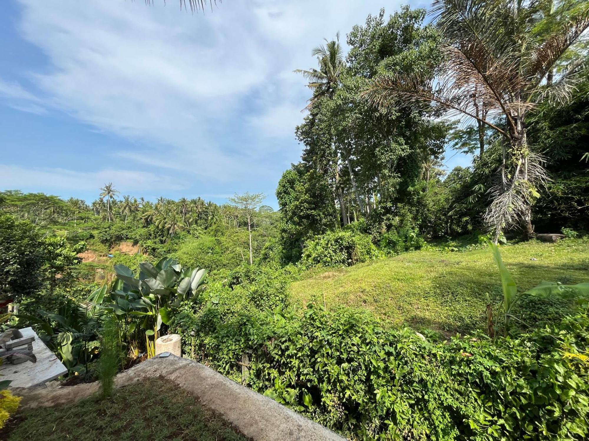 D'Nanda Villa Ubud Esterno foto