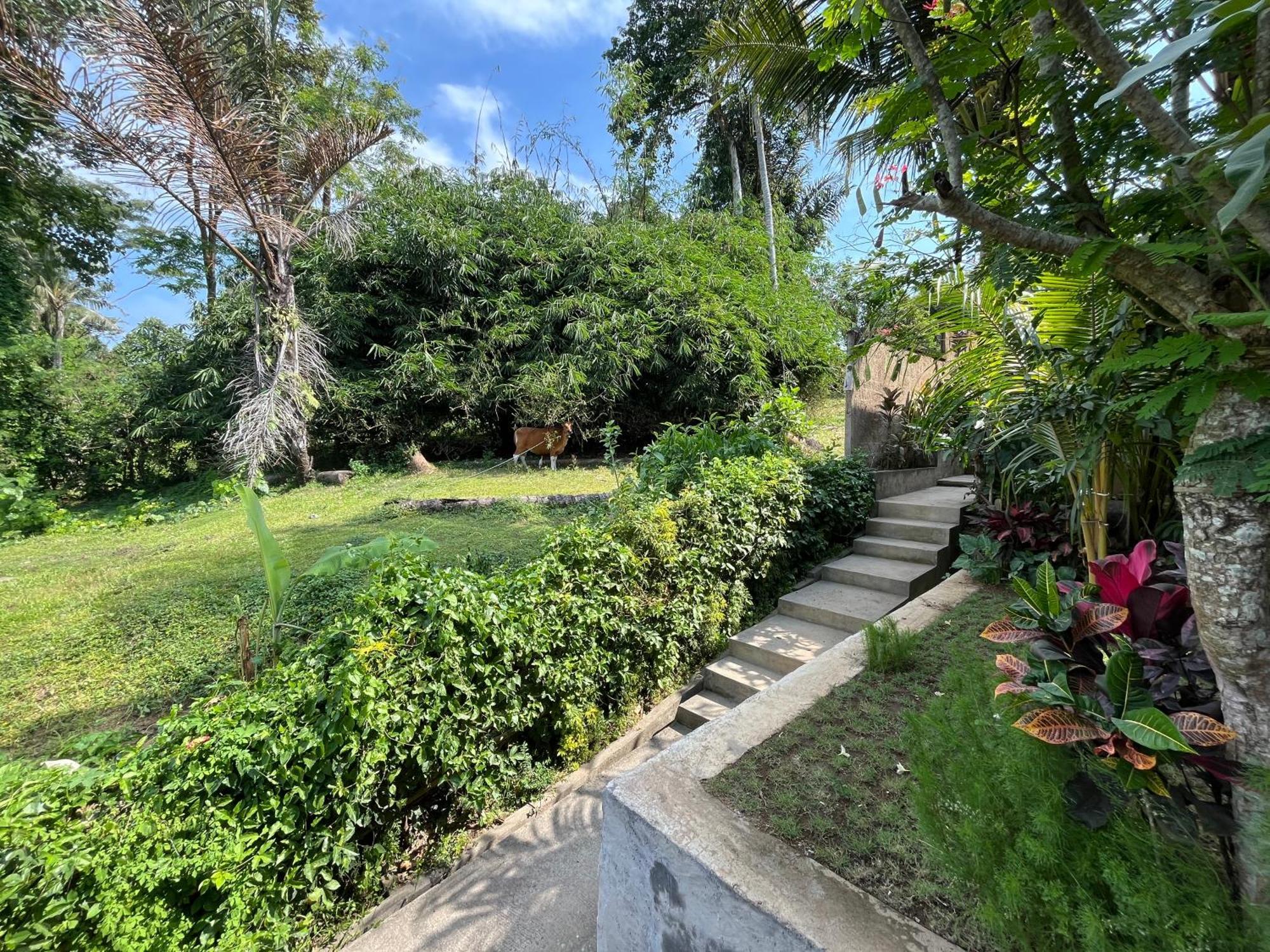 D'Nanda Villa Ubud Esterno foto